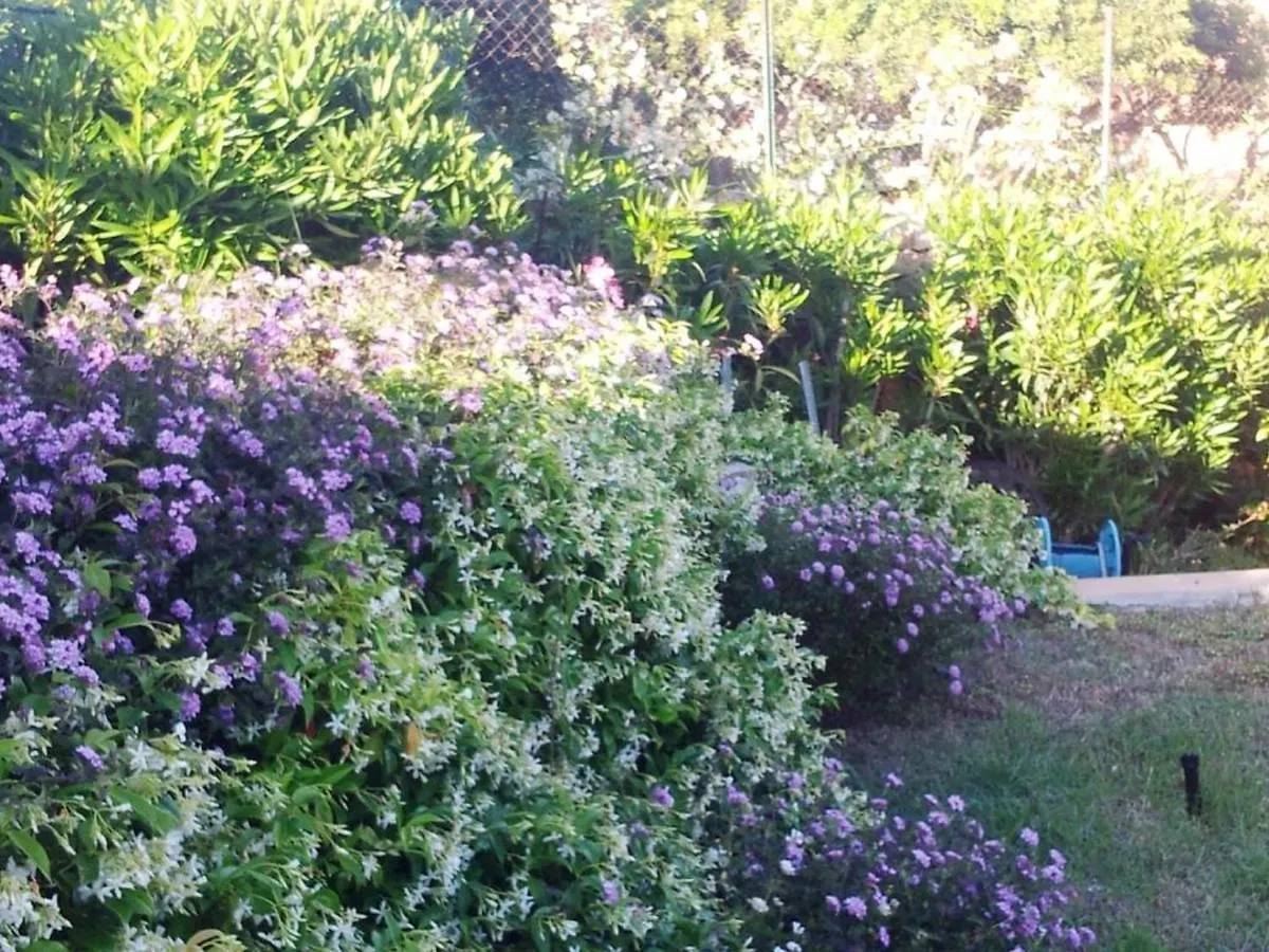 Villa Blumarin Golfo Aranci 0*,